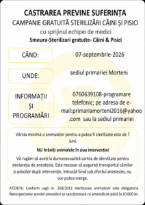 CASTRAREA PREVINE SUFERINȚA